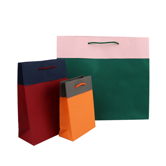 Shopper Elegante Bicolor